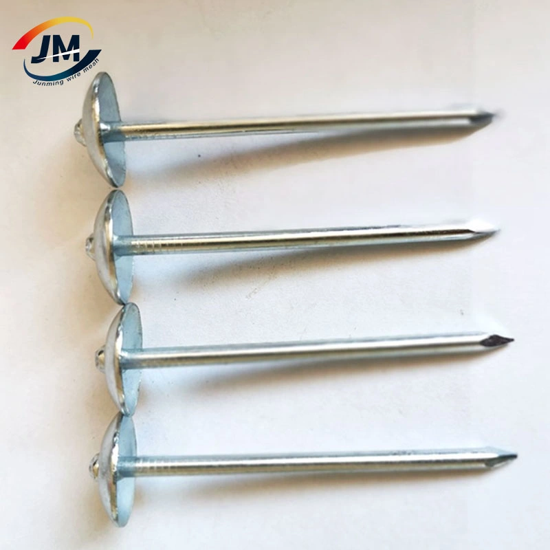 Galvanized Twisted Shank 2.5" 2" Bwg12 Umbrella Head Concrete Roofing Nail Common Water Pipe Nails