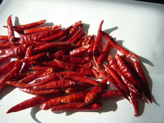 Best Quality Dry Red Chilli