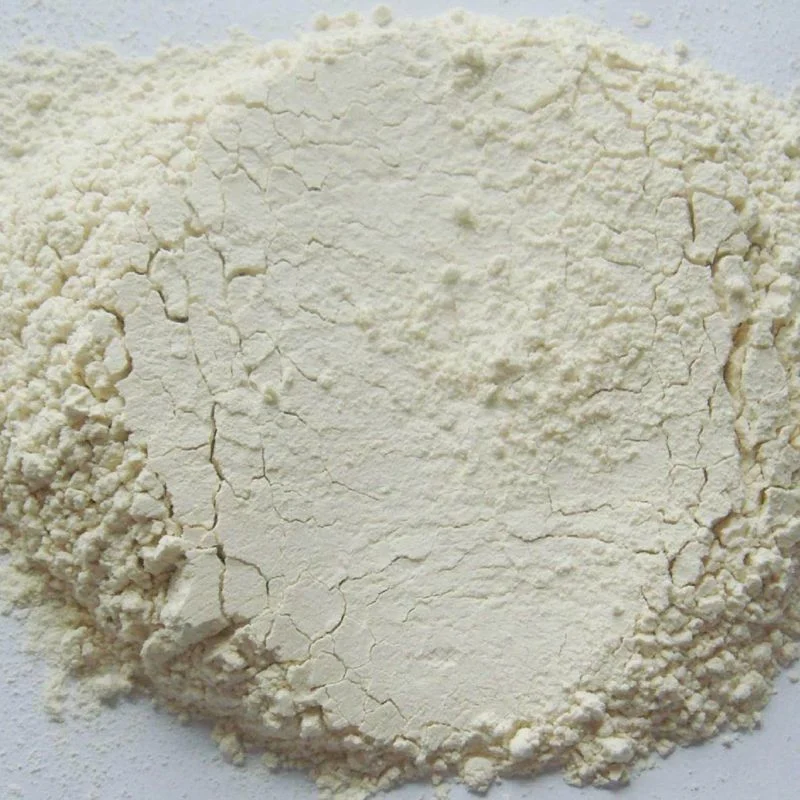 China Manufacturer Food Condiment Wholesale Garlic Powder Extract Garlic