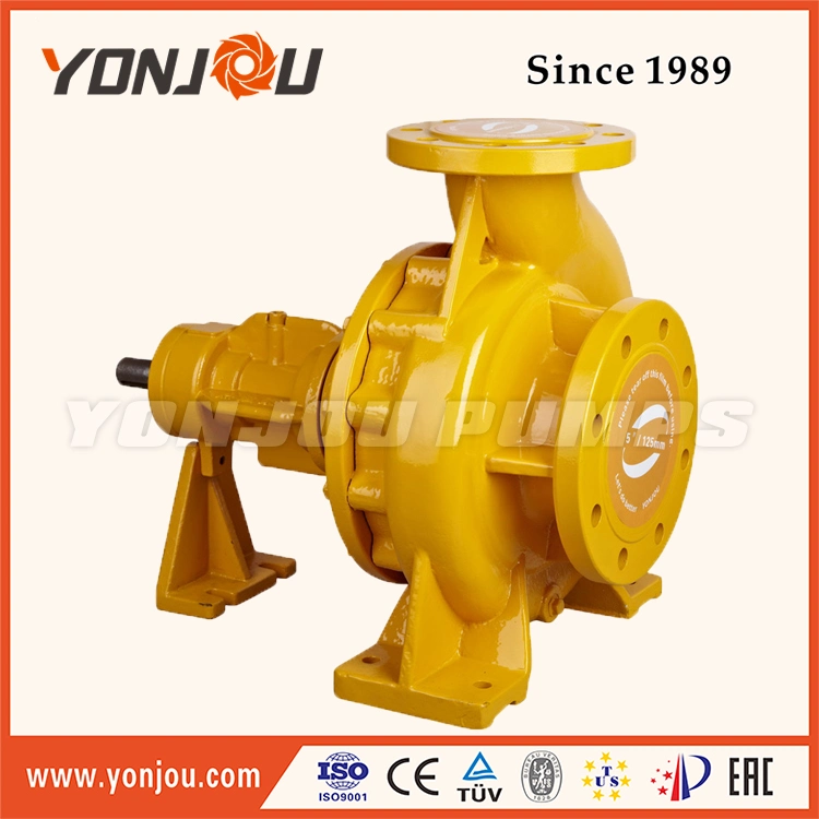 Air Cooled Hot Oil Transfer Pump