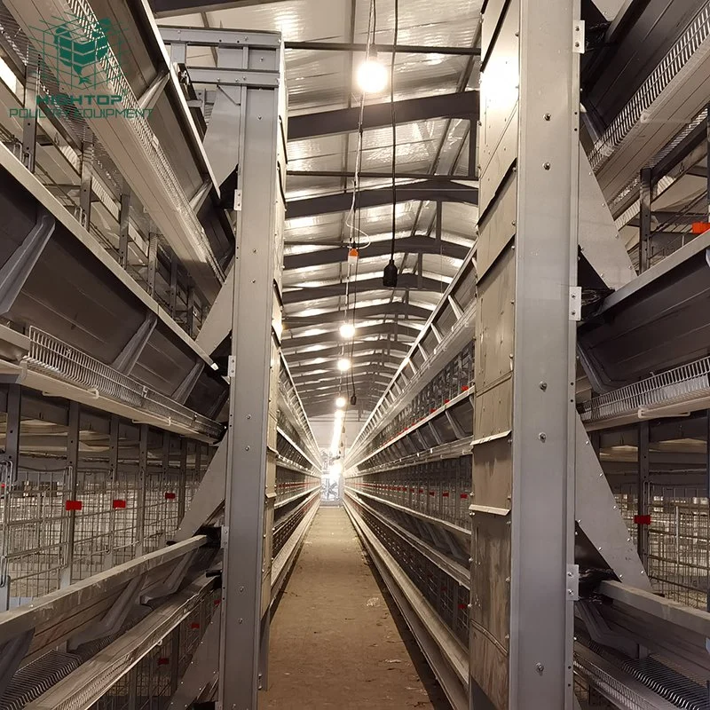 Poultry Equipment 4 Tiers H Type Layer Battery Cages in South Africa Philippines Farm