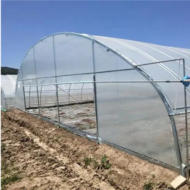 Customized Oval Tube Greenhouse for Vegetables, Fruits, Flowers, Pepper, and Tomato