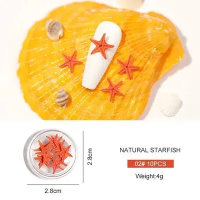 Summer Beach Nature Starfish Nail Art Sea Star Mini Small Sea Star Nail Art Decoration