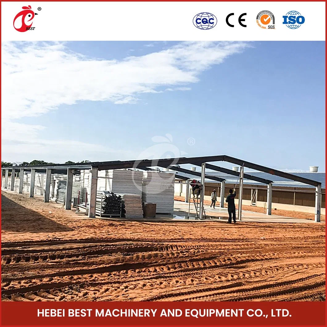 Bestchickencage Steel Poultry House China Low-Cost Prefab Poultry House Manufacturing Sample Available Assembled Steel Poultry Buildings