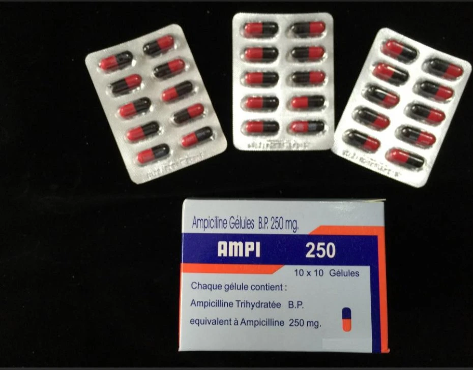 Best Price Ampicillin Capsules 250mg/500mg with GMP