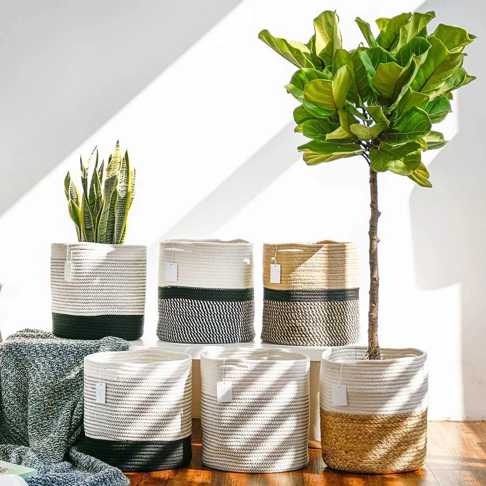 Panier de plantes en corde tissé moderne Home décor Panier de plantes Avec poignées