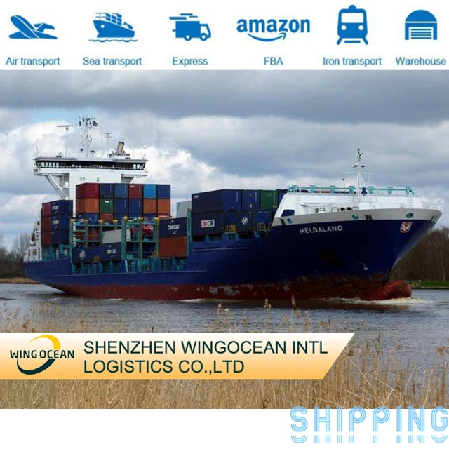 International Sea Freight Shipping Company with Freight Forwarder From China to Australia