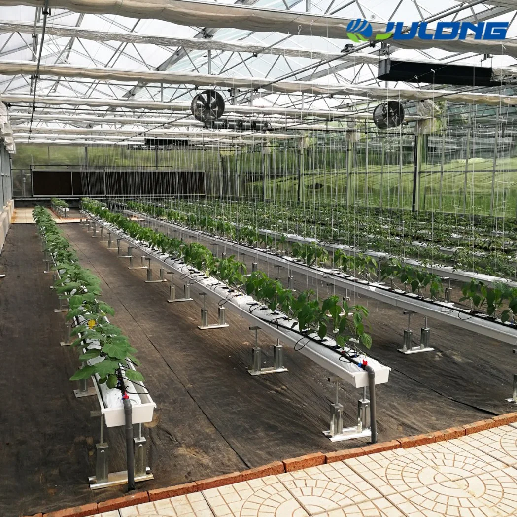 Complete Glass Multi-Span Greenhouse for Agricultural