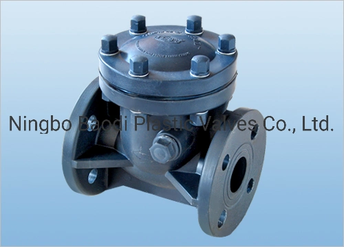 PVDF Check Valve, Swing Type