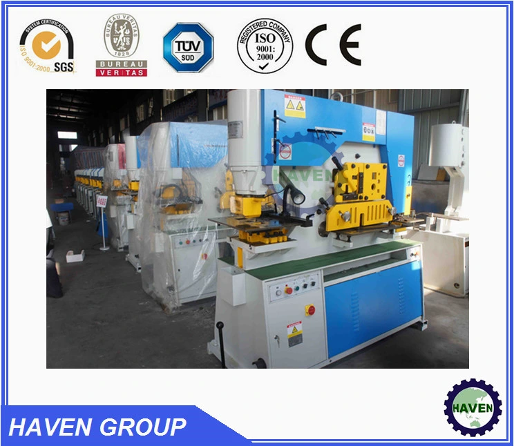 Combined Punching and Shearing Machine for Sale