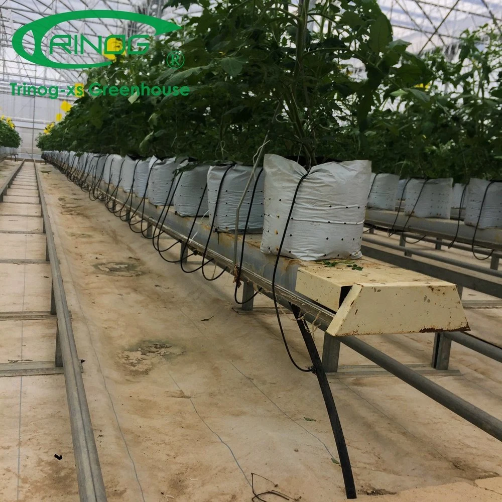 The Newest Multi-Span Galvanized Steel Pipe Structure Glass Greenhouse with Inner Shading System for Agriculture