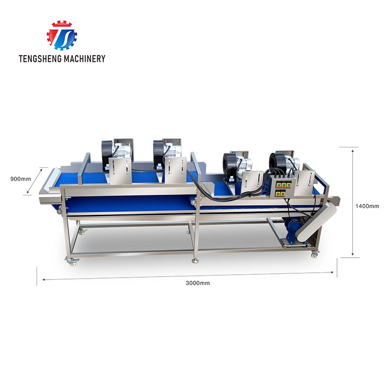 Desregar equipamento de desidratação para alimentos Máquina de secagem de correia de malha vegetal TS-FX35