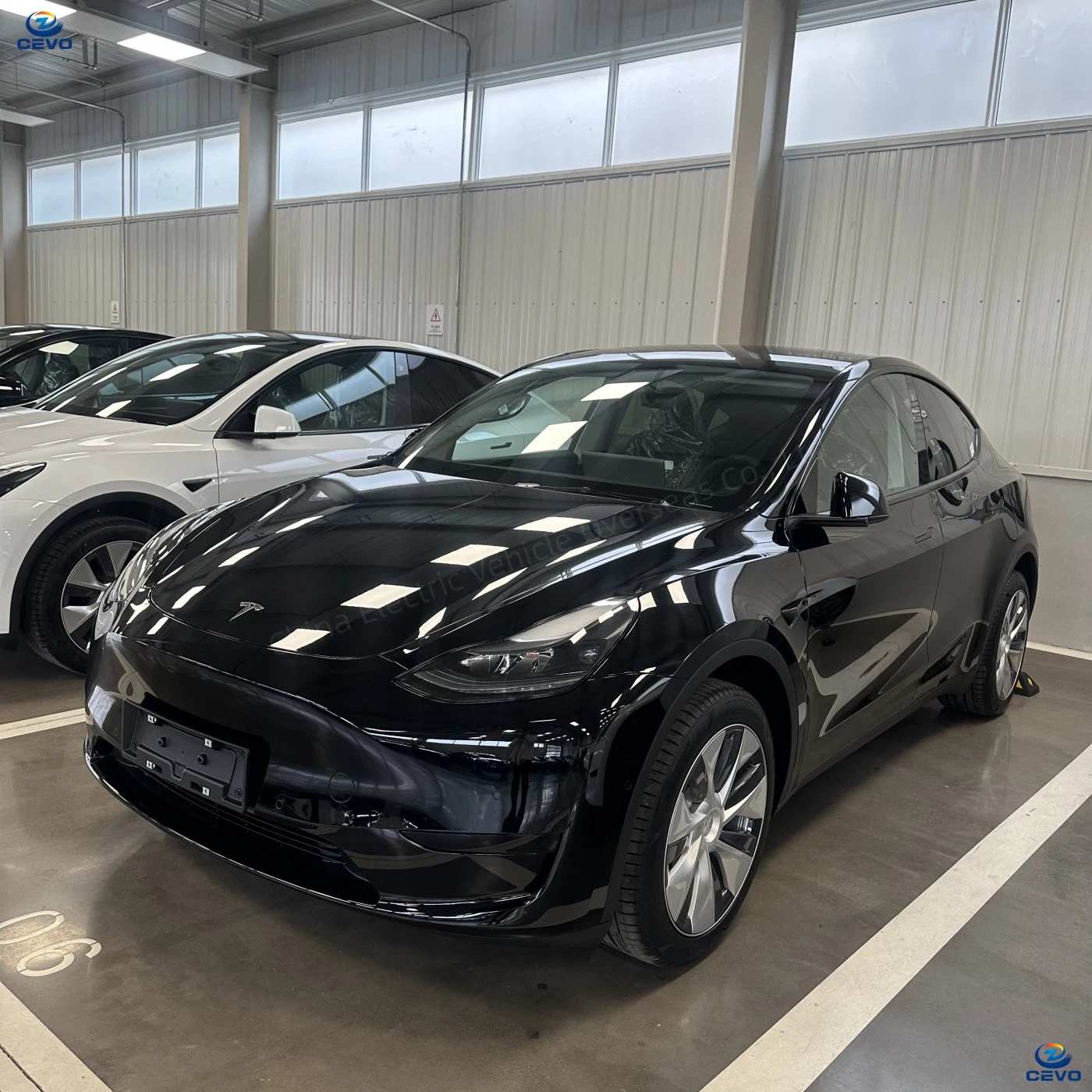 Venda por grosso Carro Novo Modelo do Veículo Eléctrico puro Y para a venda de carros eléctricos