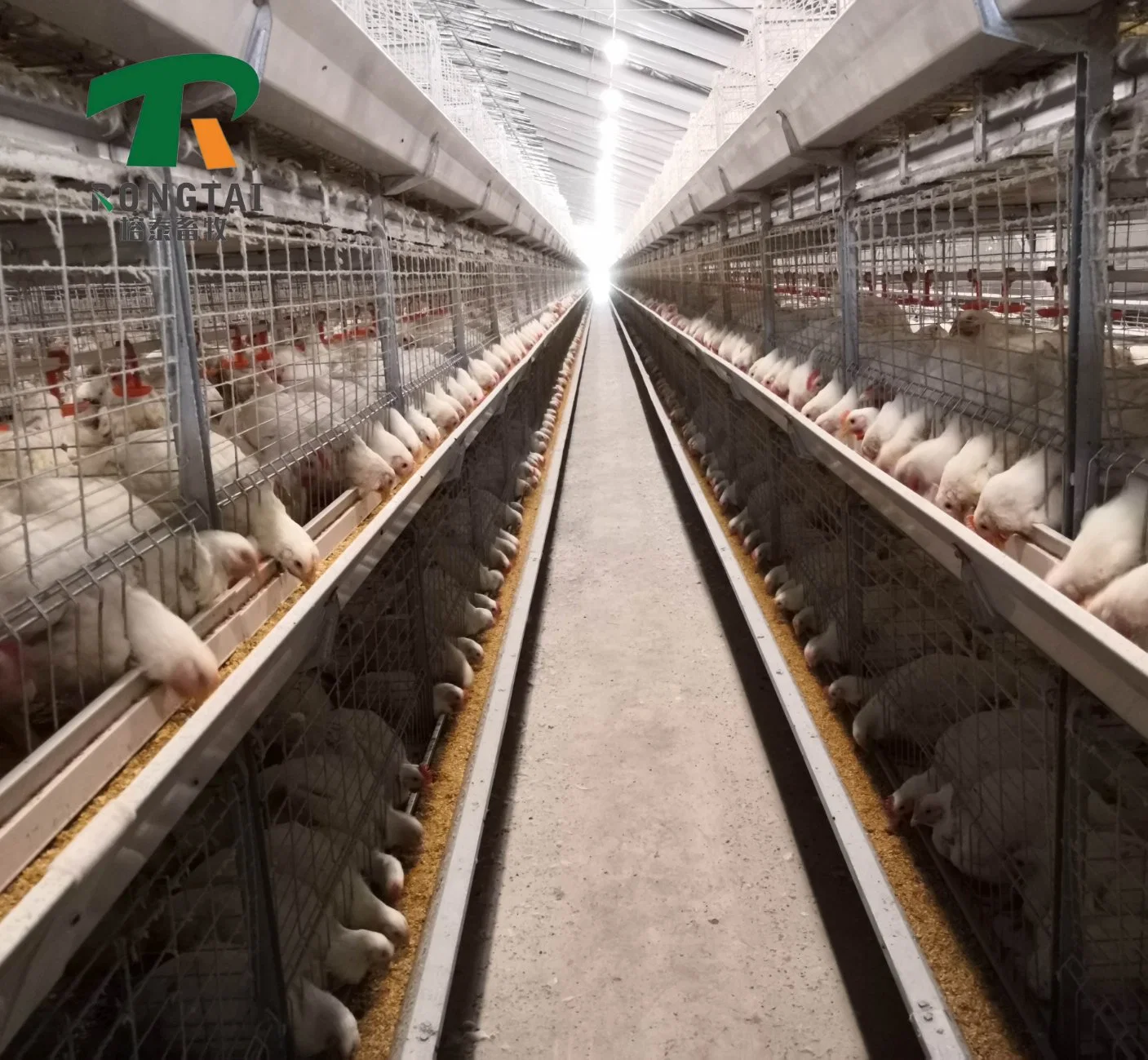 Factory Price Automatic Galvanized Farm Equipment Livestock Poultry Bird Battery Chicken Cages for Feeding Drinking for Chicken House/Broiler/Breeder/Layer