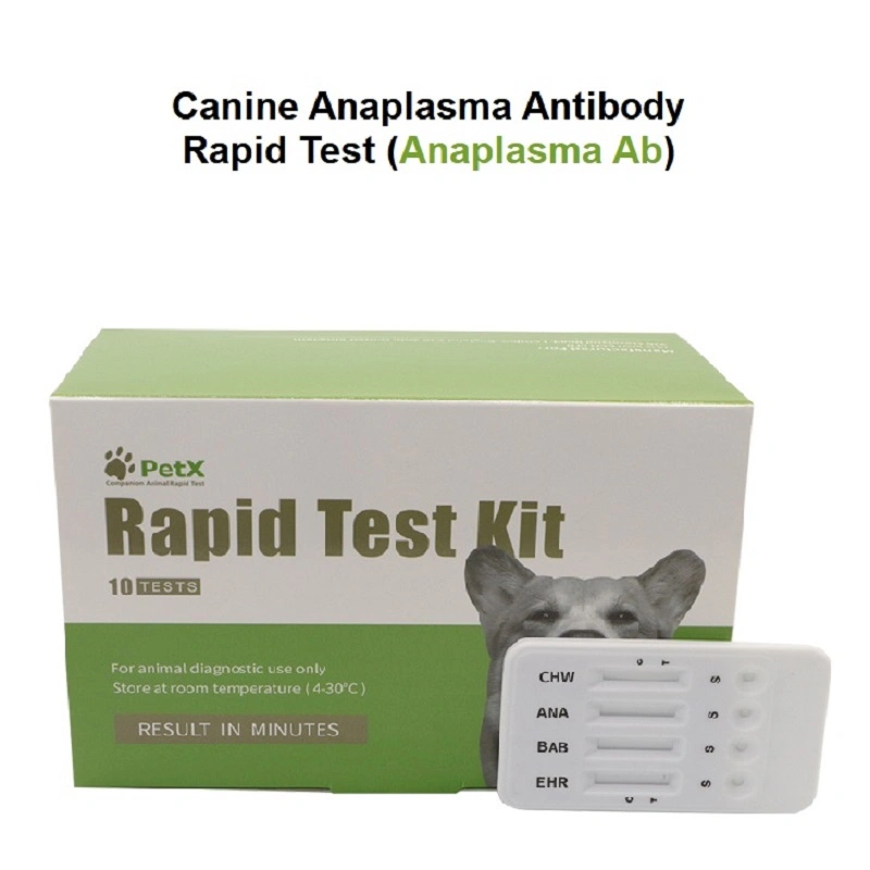 Veterinary Diagnostic Rapid Test for Canine Anaplasma Antibody Ana Ab