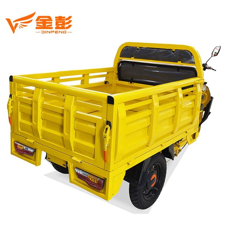 Electric Trike Overseas Market Electric Tricycle with 1000W Motor