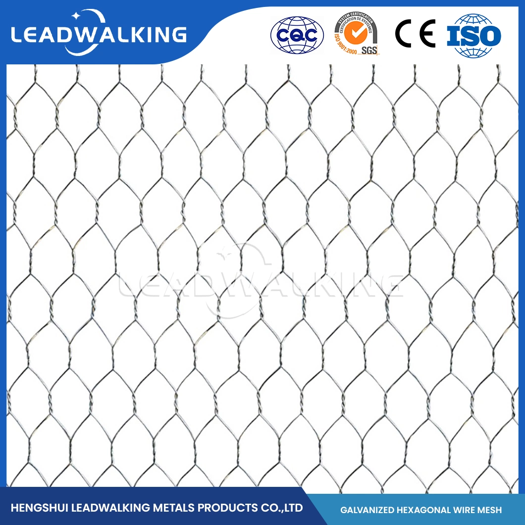 Leadwalking China Square Hole Chicken Wire Manufacturers Mild Steel Wire Material 3/8 Inch Mesh Iron Wire Hexagonal Mesh