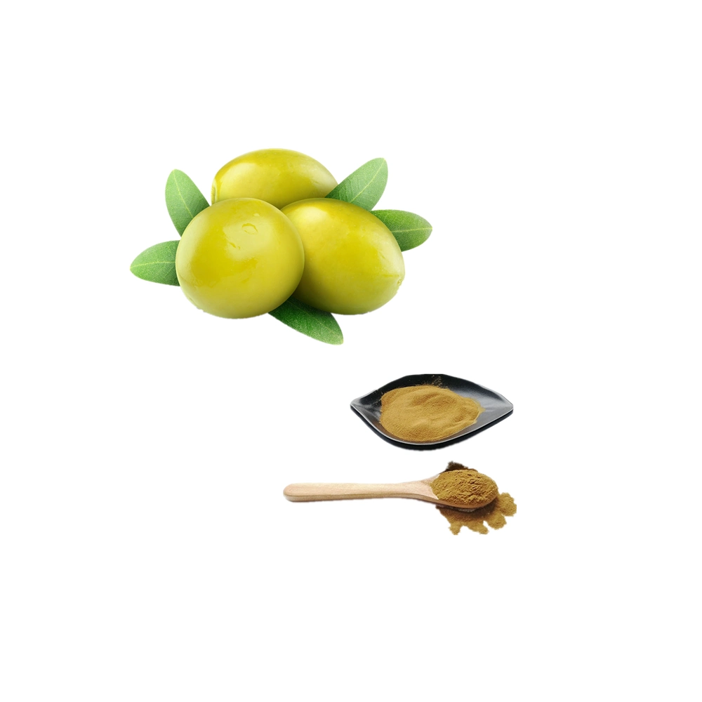 Health Care Antioxidant Olive Leaf Extract 20% 40% 50% 60% 70% 80% Oleuropein