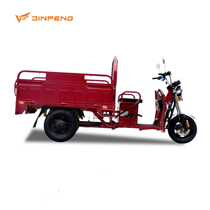 Powerful Motor Farm Use 60V45ah Electric Cargo Tricycle for Adult