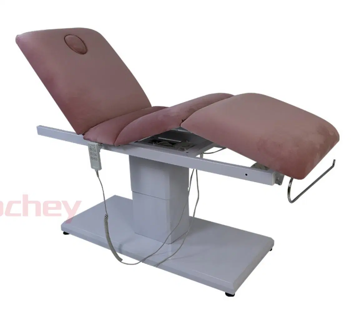 Hochey Medical High quality/High cost performance Portable Foldable Massage Table for Beauty Salon Treatment Beauty Bed