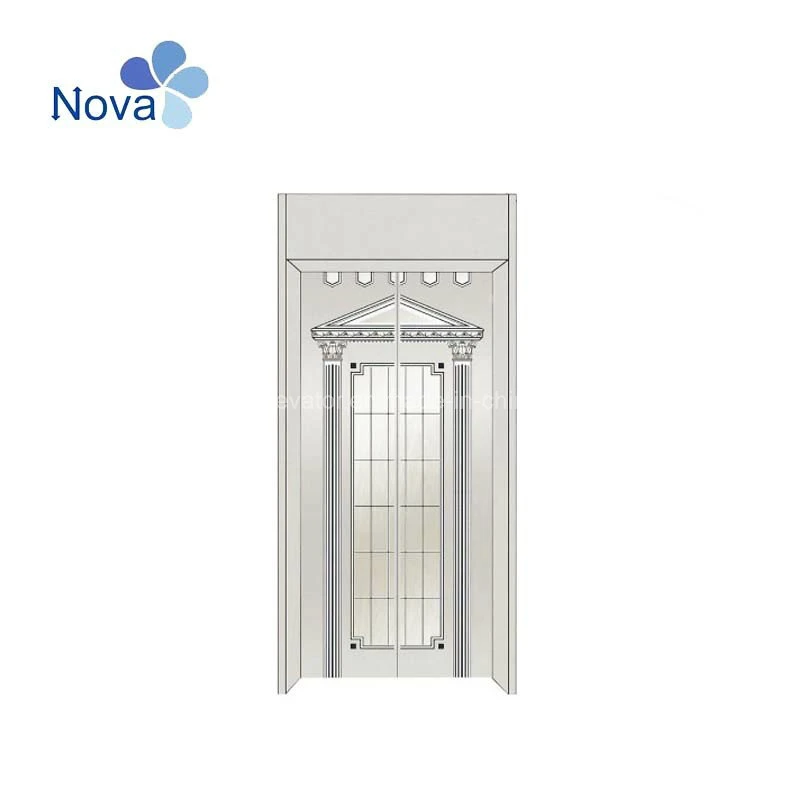 Used Various Elevators Cabin Door Panel for Wholesale/Suppliers