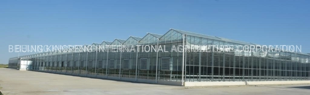 Venlo Roof Glass Greenhouse with ISO9001: 2015 Supplier