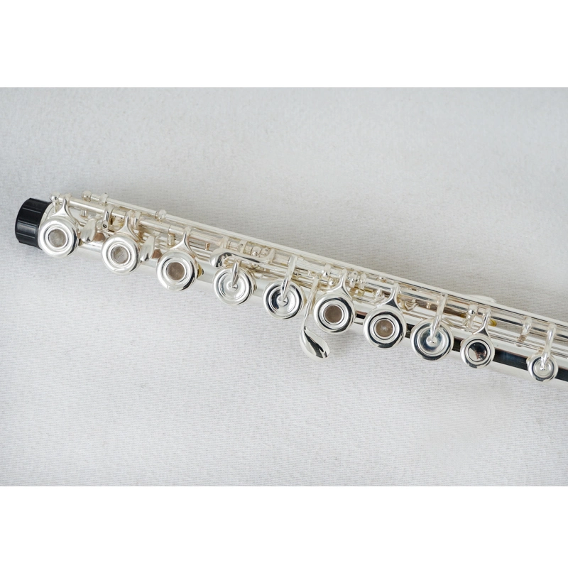 Wholesale/Supplier Price Custom Brand Nickel Finish 17 Holes Flute Brass Instrument