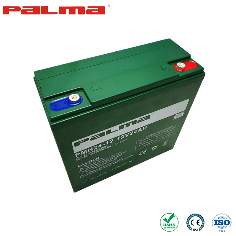 Palma AGM/Gel Battery Ebike Battery Original Factory 12V20ah Electric Vehicle Batteries