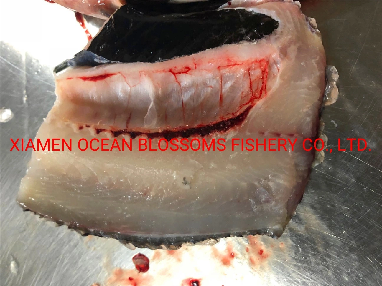 Buy Live Frozen Tilapia Fish From Oceanblossoms Supplier