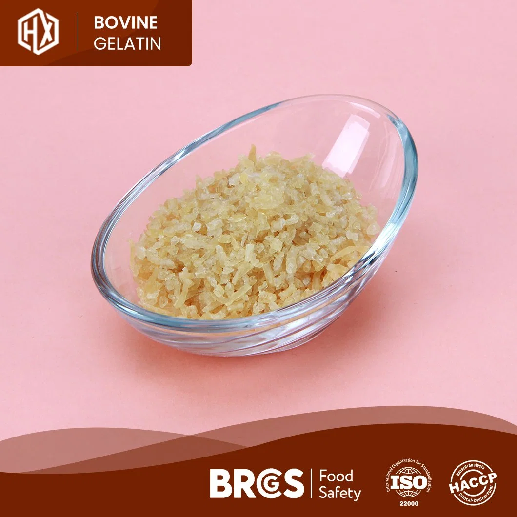 Haoxiang Sample Available Edible Bovine Skin Gelatin Powder Quality Bovine Skin Gelatin China Manufacturing Wholesale Custom Food Grade Bovine Skin Gelatin