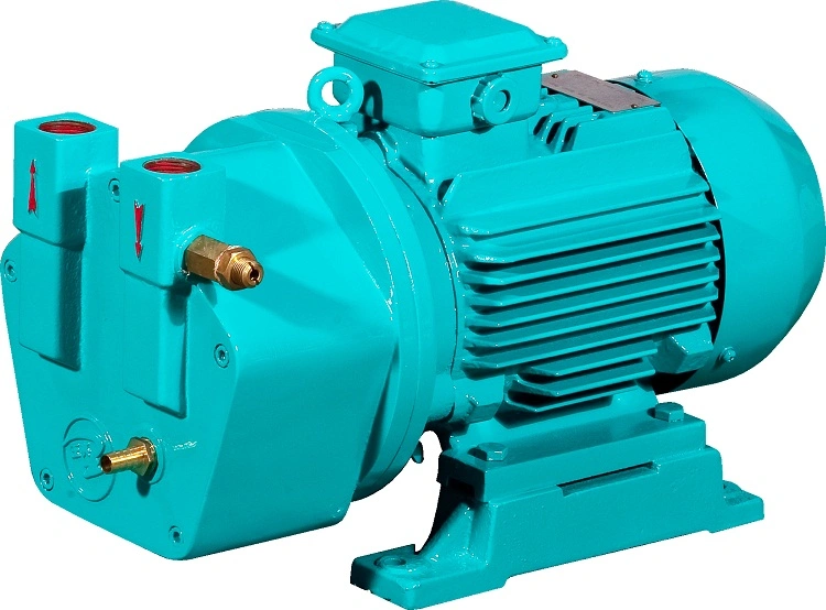 4kw Liquid/Water Ring Vacuum Pump for Medical and Pharmaceutical Industry