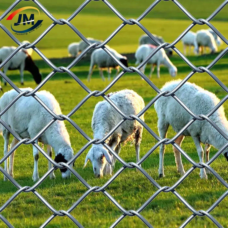 El agujero de diamantes baratos valla de tela metálica de malla de alambre recubierto de PVC Panel para el campo de fútbol Precio