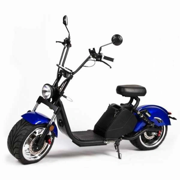 2020 Hot Bicycle Cheap Factory Price Light Weight Adult Electric Citycoco with Double Disc Brakes