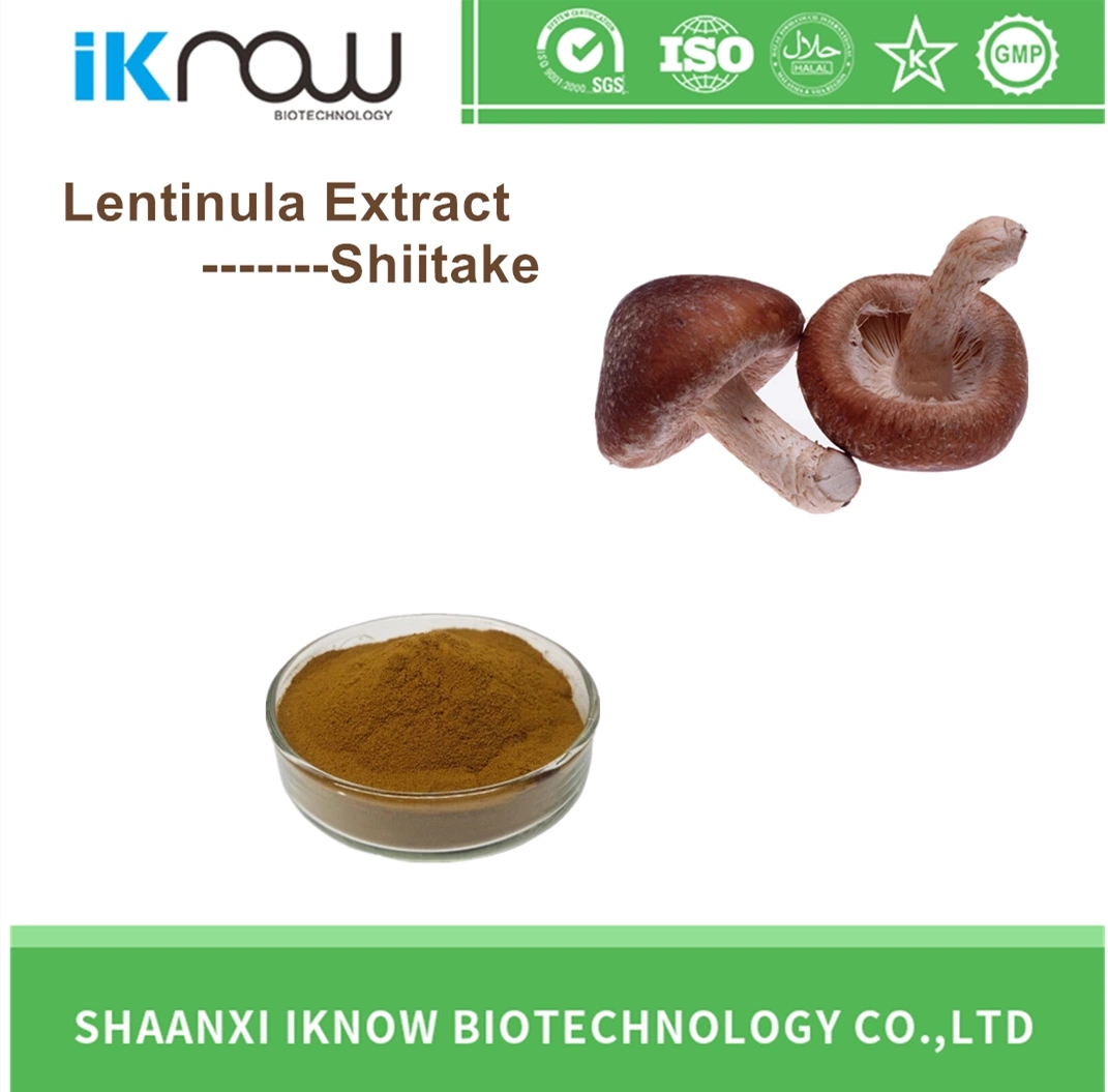 Heißer Verkauf 100% natürliche Shiitake Lentinula Extract Funktionsprodukte für Ermüdungsschutz