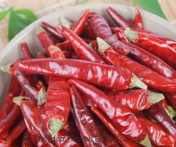 Red Chilli Exported to Domestic and Overseas Markets