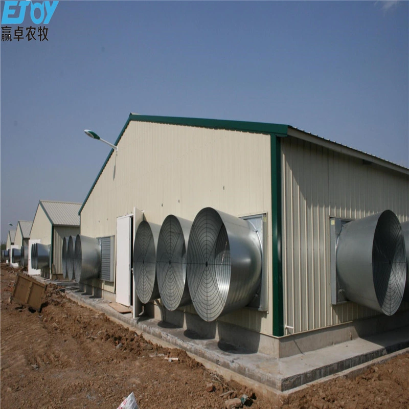 Steel Structure Poultry Farm Equipment Fully Automatic Flat Rearing Broiler Feeder