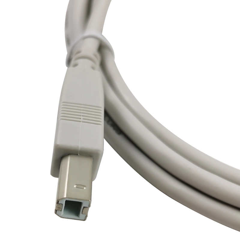 مجموعة المصنع المخصصة USB2.0 A Male لطباعة الكابل B ذكر آخر Cem&amp;OEM Electrical Wire ضفيرة الأسلاك الكهربائية معالجة الكابل