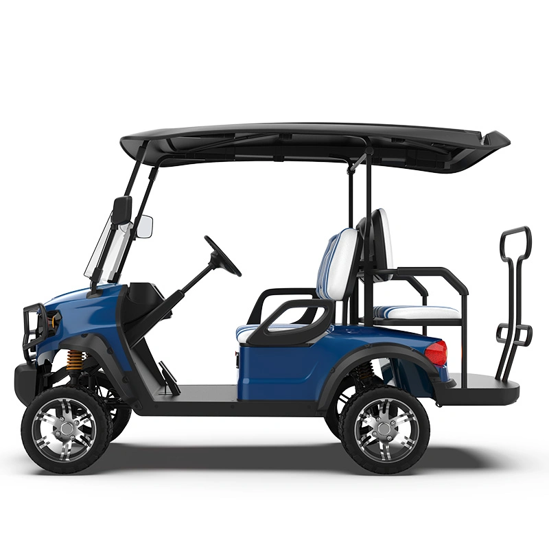 CE Approved Buggy/Golf Kinghike Packed and Loaded by Container Beach Cart Golf Carts for Sale