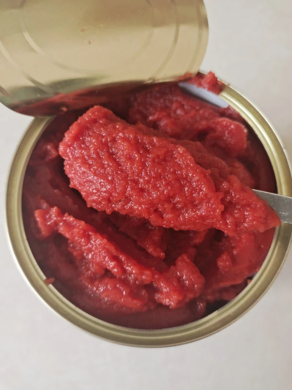 Tomatenpaste aus der Dose mit hochwertiger Großhandel/Lieferantsoße