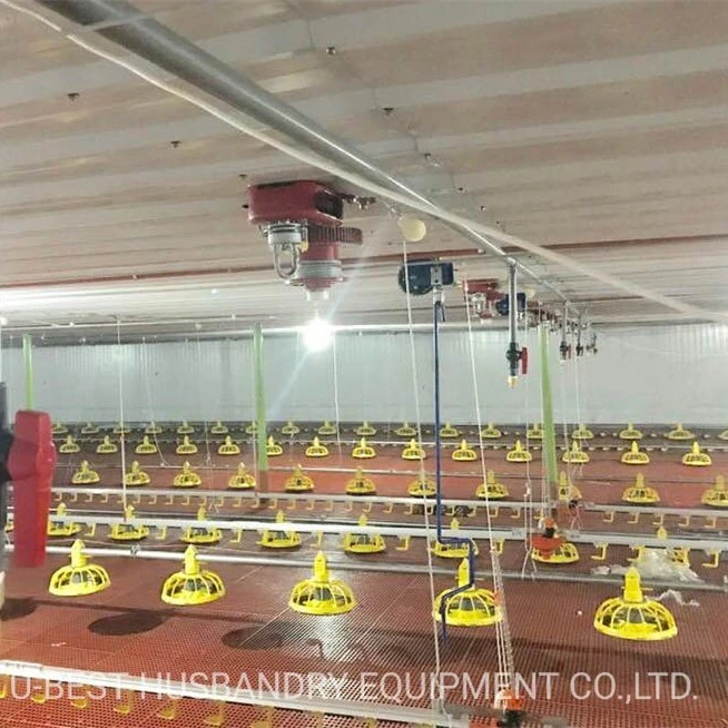 Feeding/Drinking Line System Automatic Chicken Broiler Poultry Farming/Farm Equipment