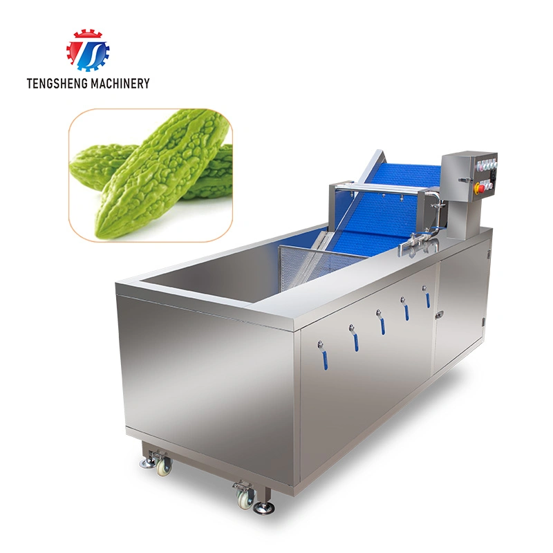 2600W Ozone Bubble Ultrasonic Automatic Cleaning Vegetable Washing Machine Ts-X200