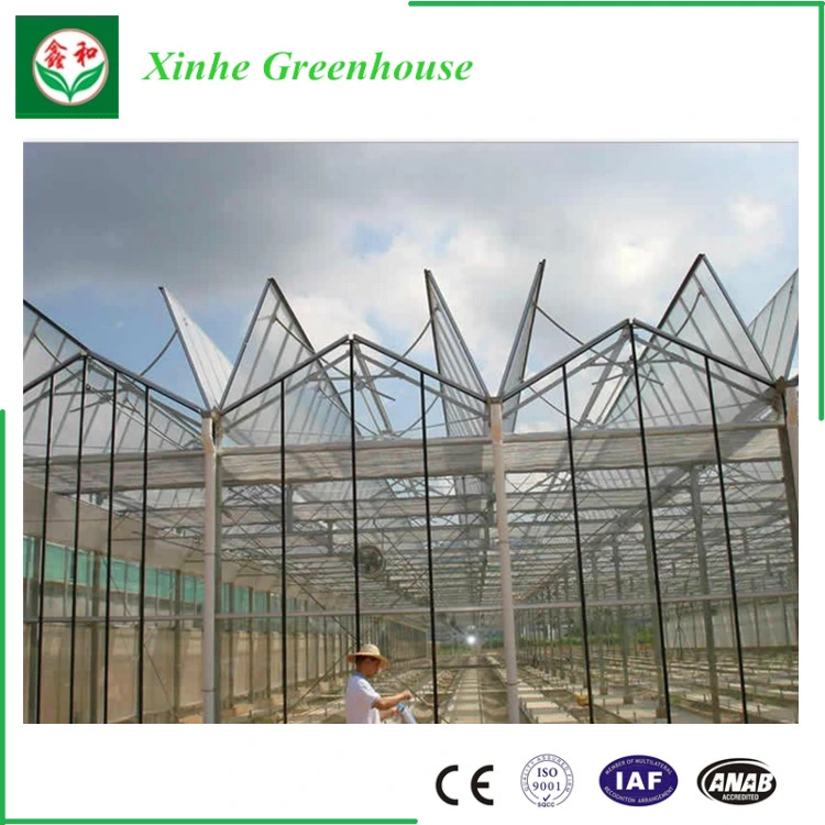 Greet Eeconomic Benefit PC Sheet Greenhouse for Planting