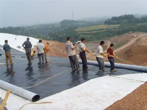 Gold Factory Eco-Friendly HDPE Geomembrane Liner Waterproofing Membranes