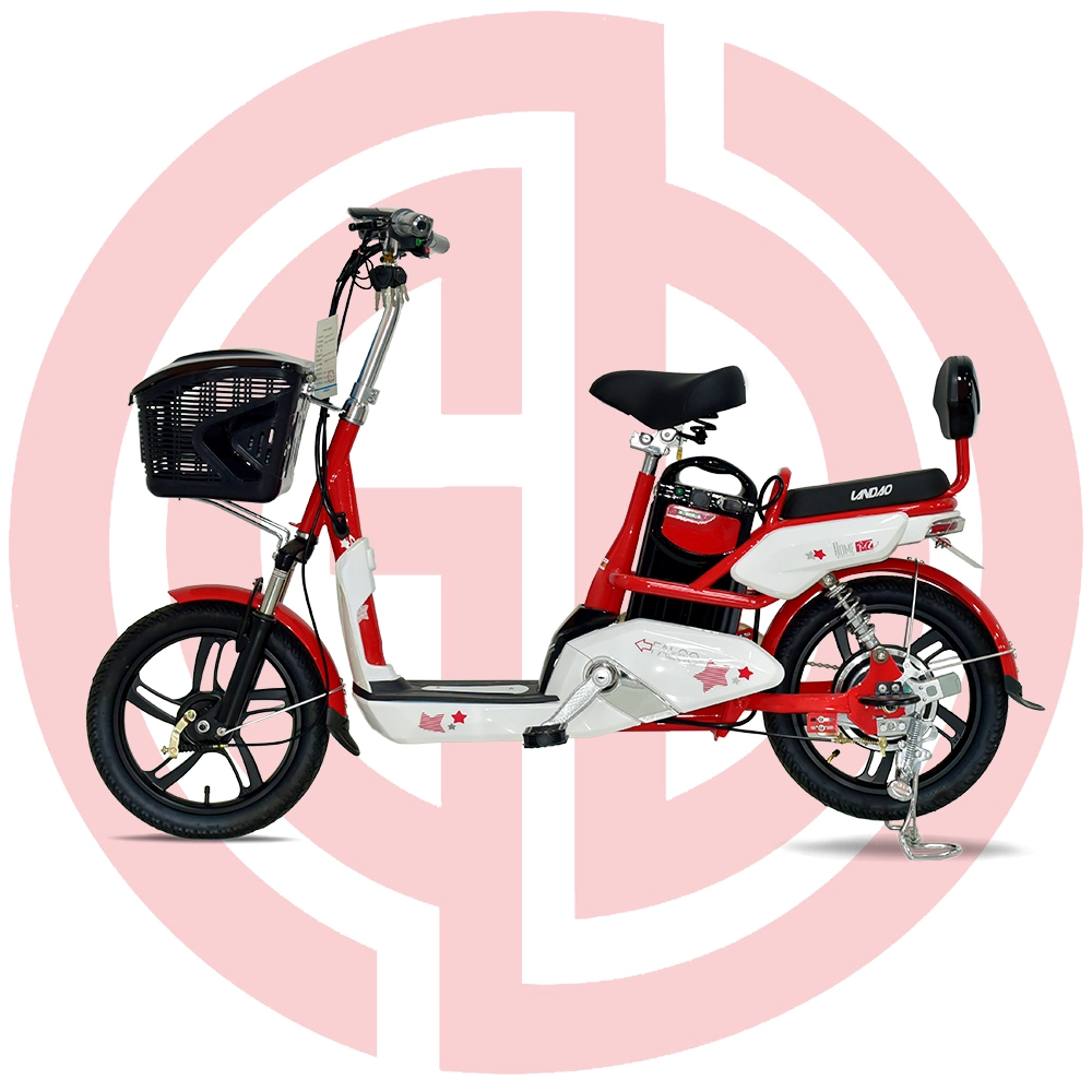 Good Selling 48V 350W Electric Passenger Motor Vehicle