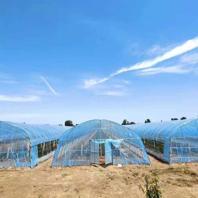 Agriculture Single Span High Tunnel Greenhouse Plastic Cover for Sale