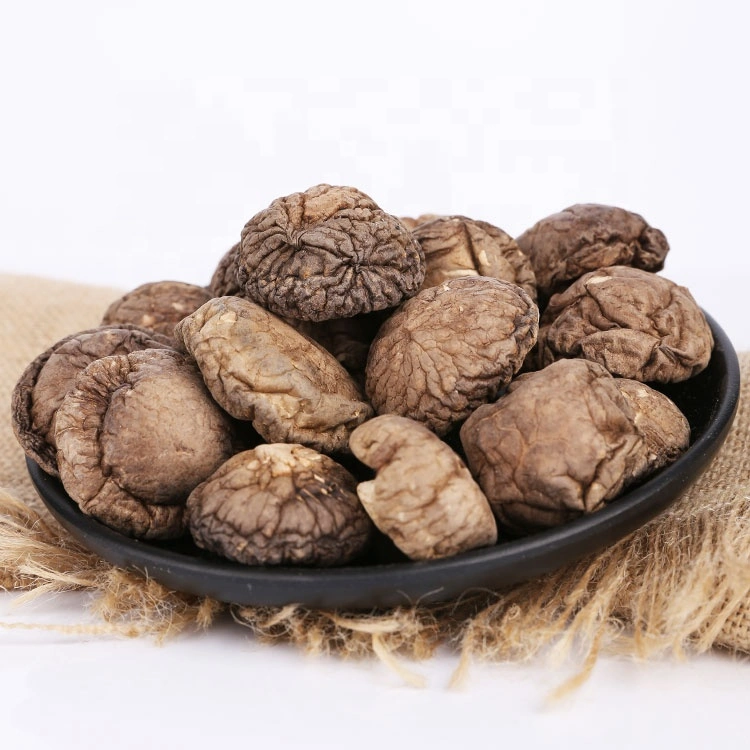 Shiitake secos de alta qualidade alimentos secos orgânico cogumelo Shiitake