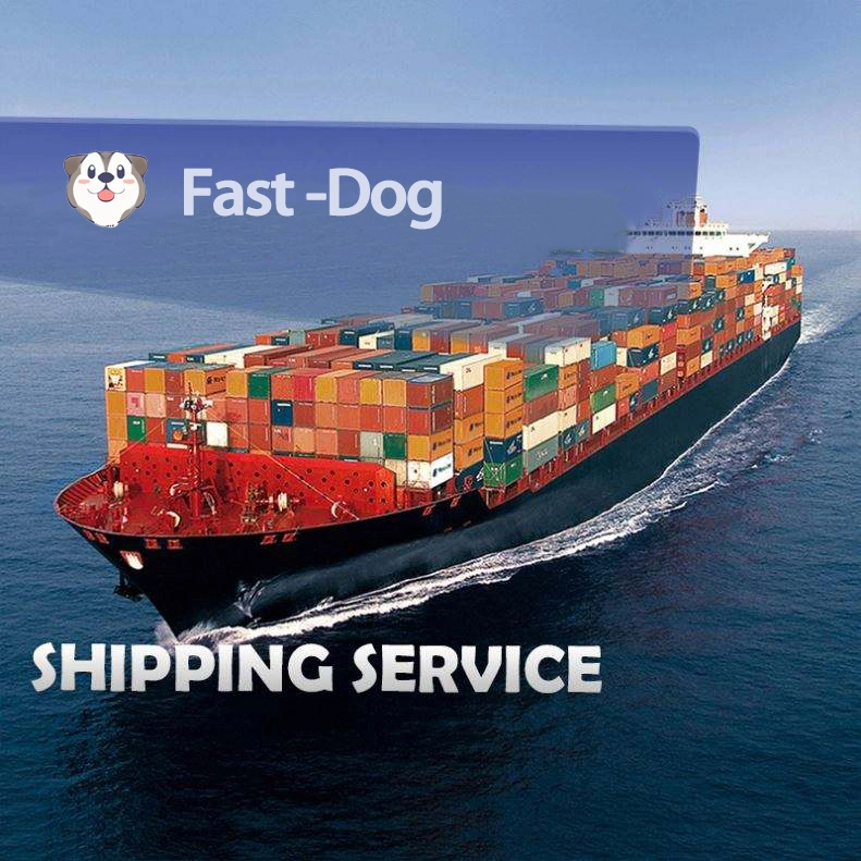 Ocean Container Sea Freight Rates Dpp FCL LCL Forwarder Door to Door Service From China to USA