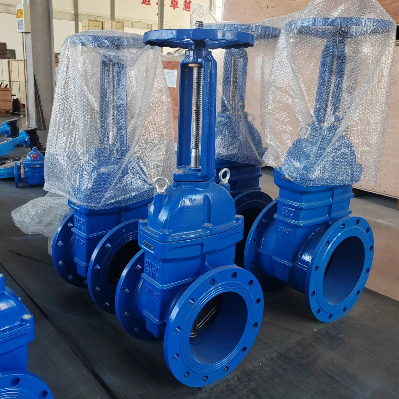 Ductile Iron Flanged Rising Stem Outside Screw Yoke Water Gate Valve Manual Operated Pn16 DN100