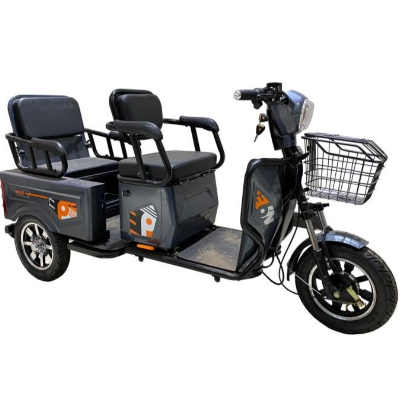 Original Factory Supply Electric Tricycle, Cargo Motorcycle, E Cargo Trike, E Vehicle