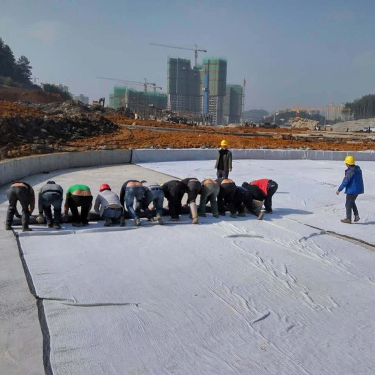 Filtro de tela tejida Geotextile Underlayment Capa de separación tela para la construcción de carreteras en Indonesia